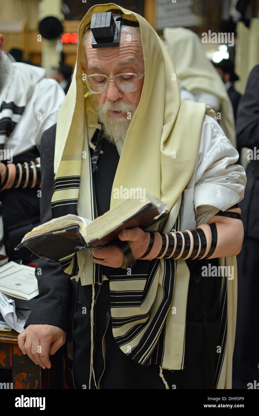 Homme juif portant un tefillin Banque de photographies et d’images à