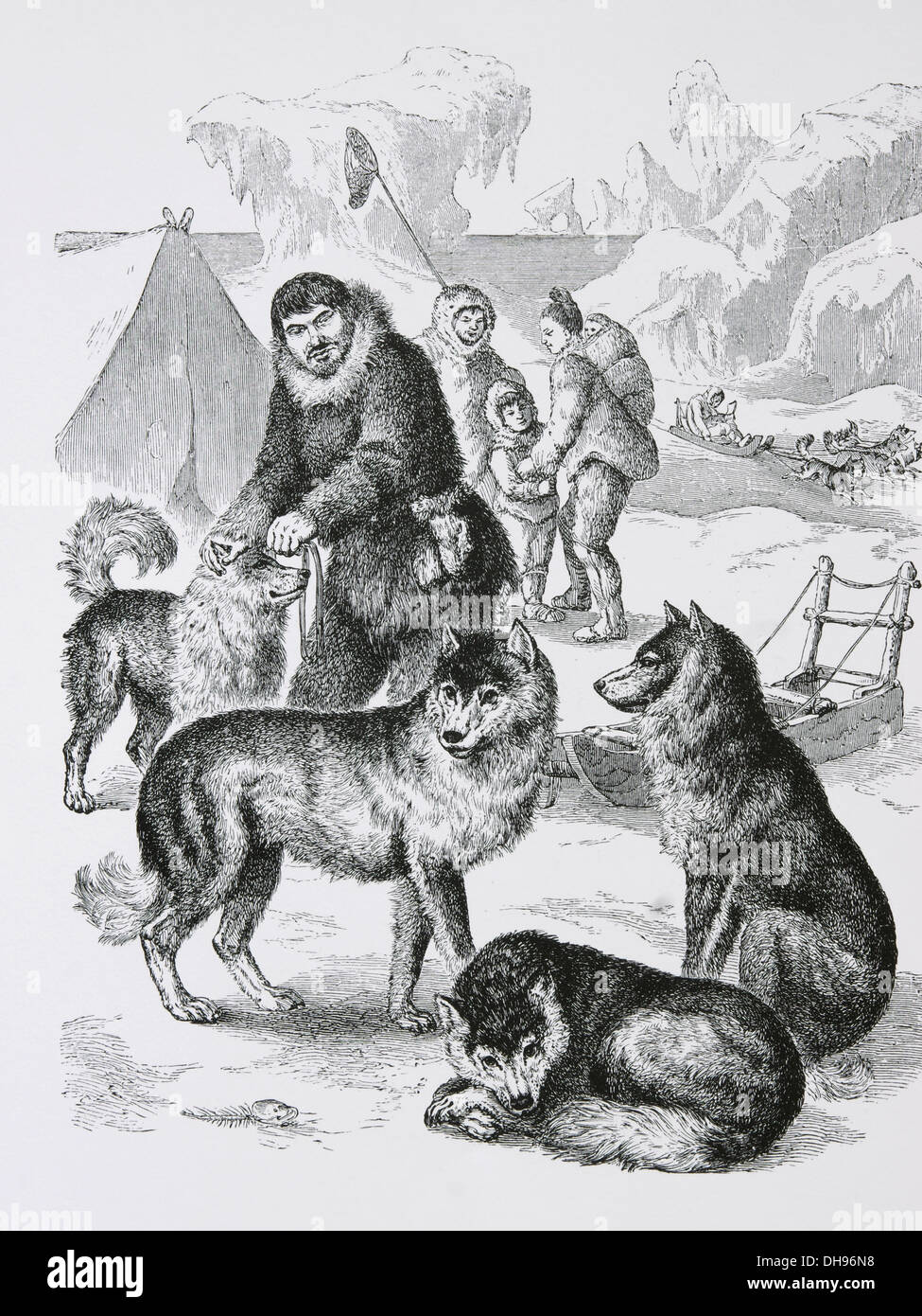 L'Amérique. De l'Alaska. Les chiens esquimaux avec Hunter, 1880. La gravure. Banque D'Images