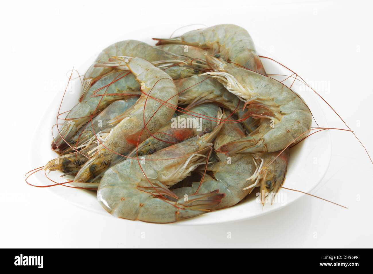 Prawn isolated on white Banque D'Images