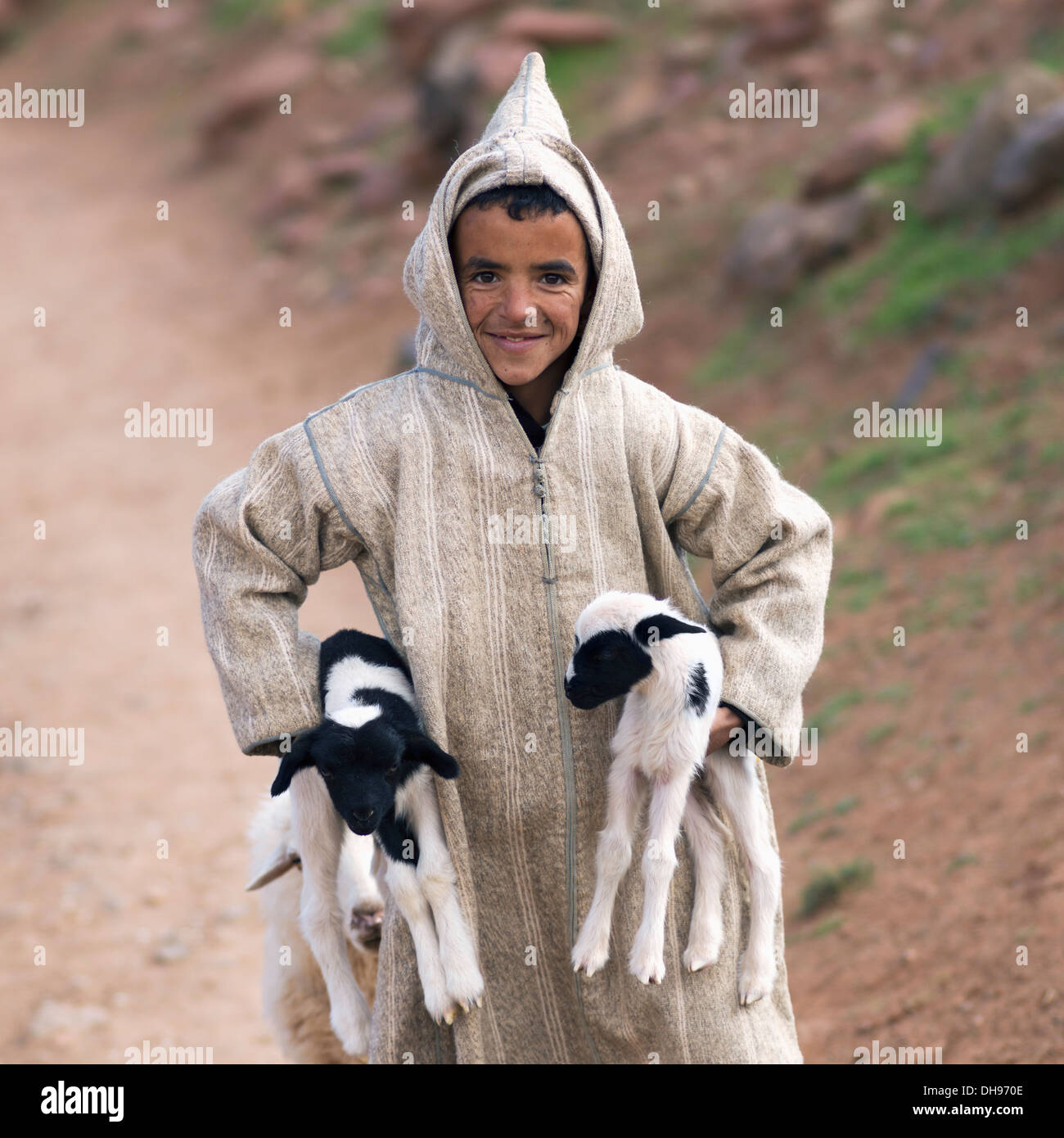 Un jeune berger garçon tenant deux agneaux, Maroc Banque D'Images