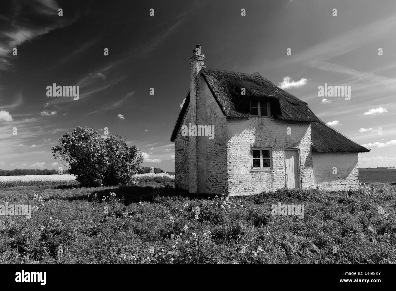 Cottage à proximité de Fenland isolés Wisbech town, Fenland, Cambridgeshire, Angleterre, Grande-Bretagne, Royaume-Uni Banque D'Images