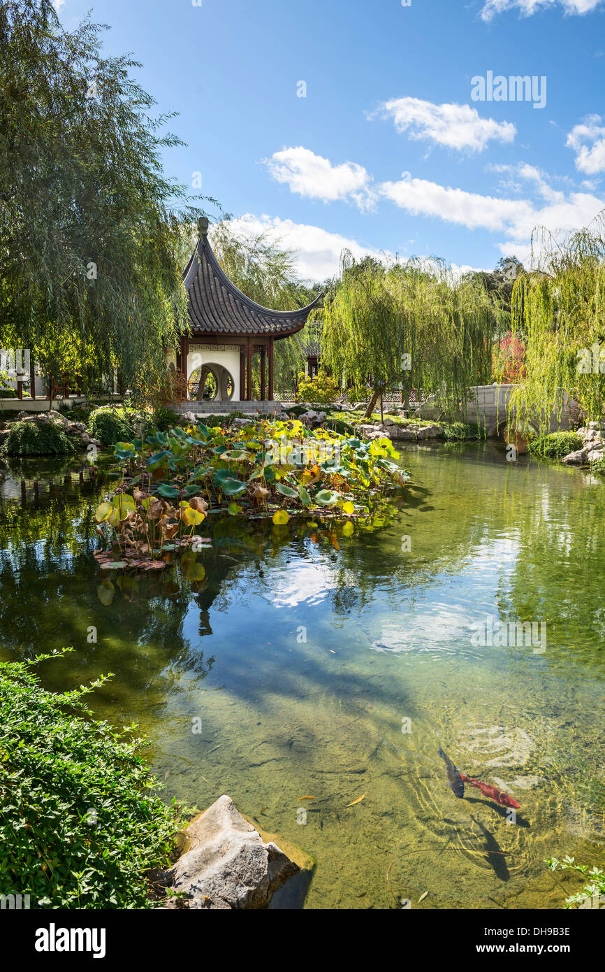 Beau jardin chinois à la bibliothèque Huntington. Banque D'Images