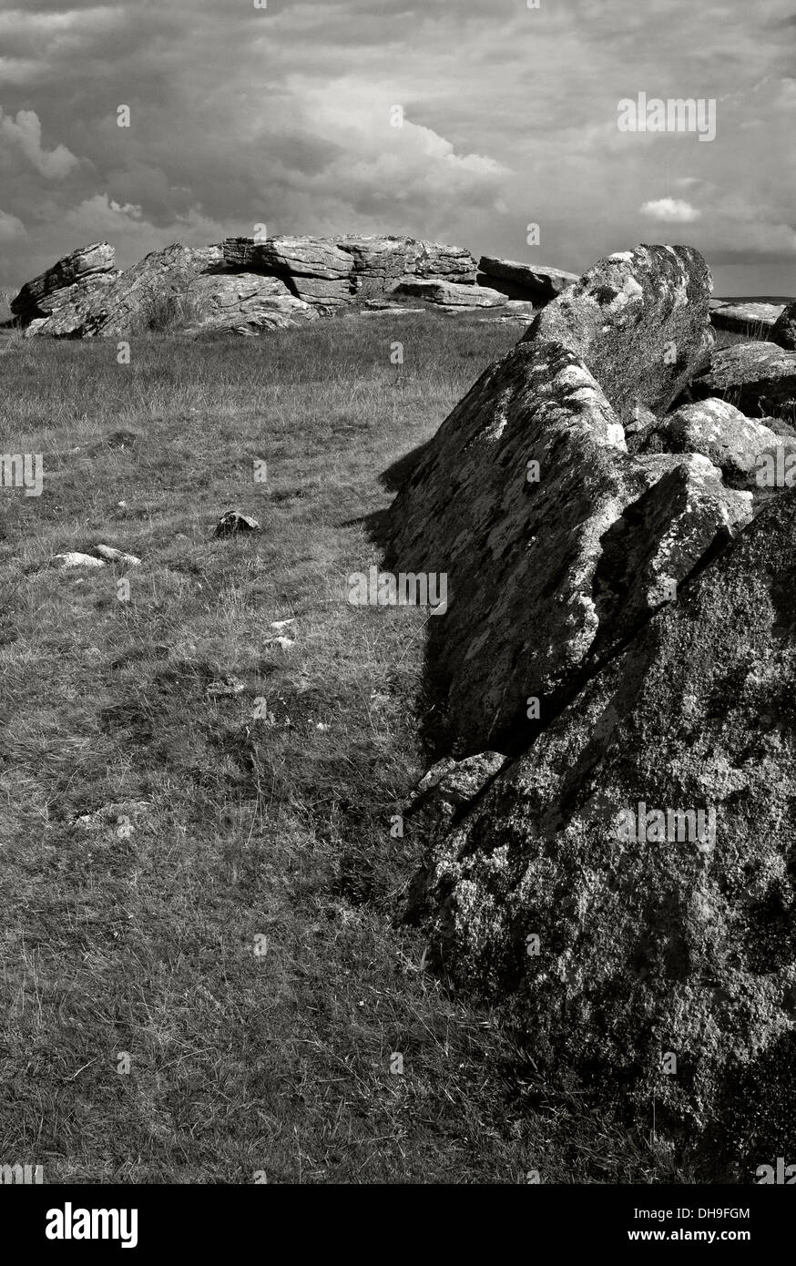 Affleurement rocheux de granit sur Bodmin Moor Banque D'Images