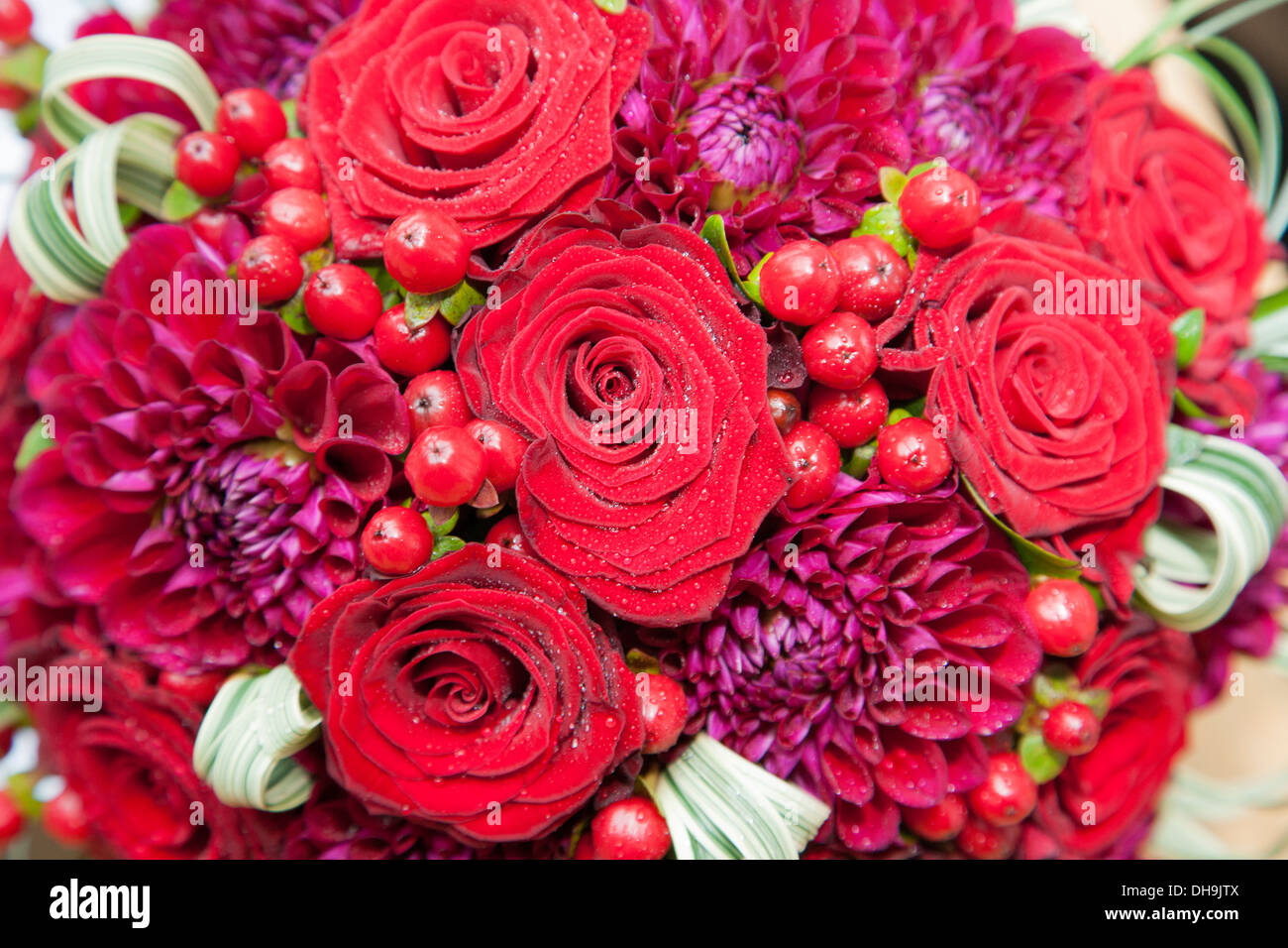 Résumé fond macro mariage bouquet Banque D'Images