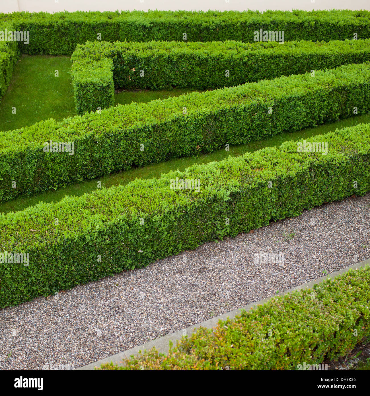 Haie de verdure Banque D'Images