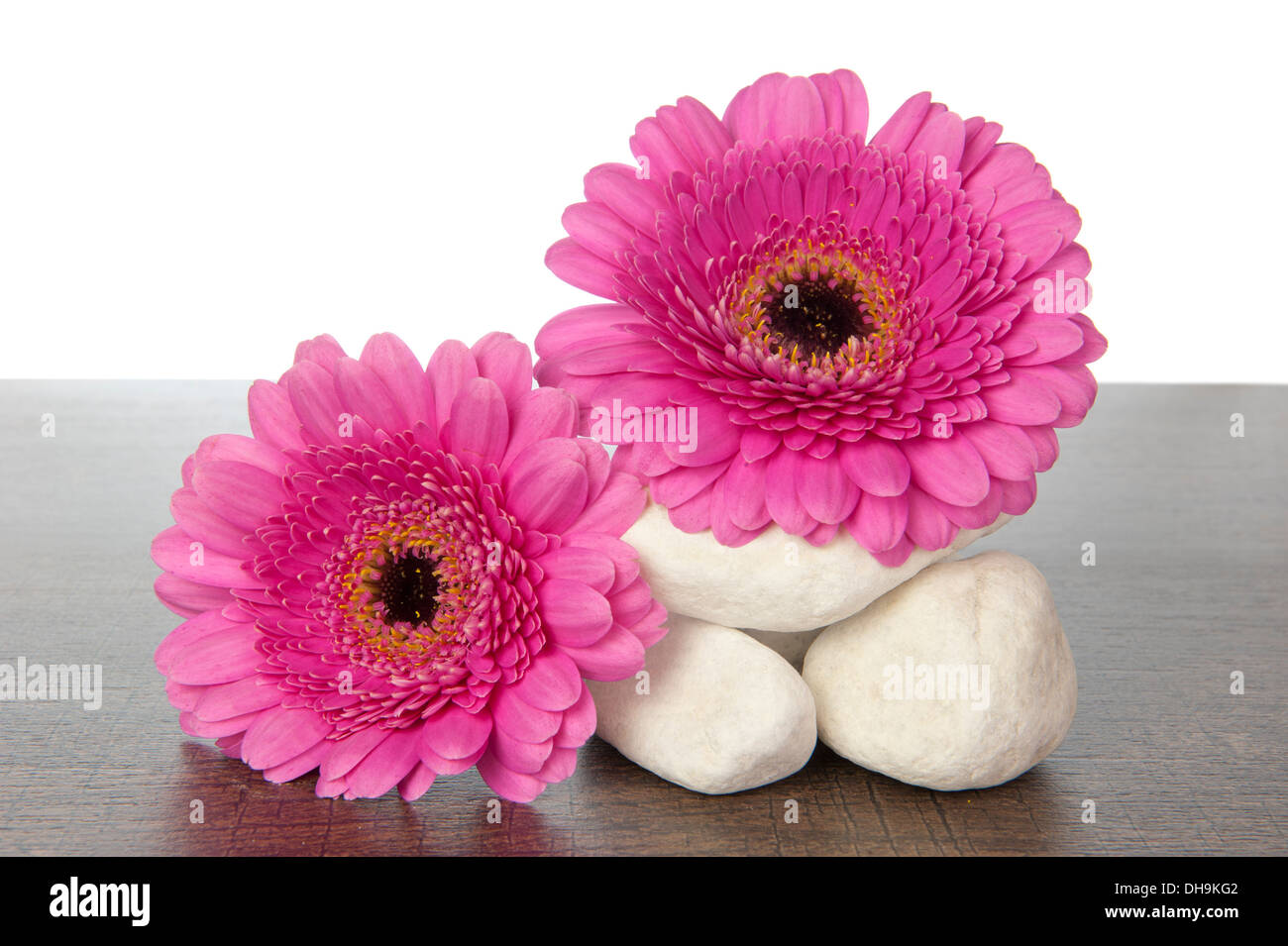 Pile de pierres blanches avec Gerberas rose sur une étagère en bois brun foncé Banque D'Images