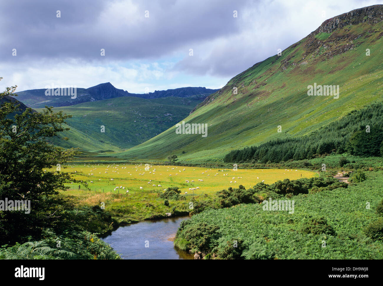 Glen Rosa, Beinn nuis à gauche, Isle of Arran, Ecosse, Royaume-Uni. Banque D'Images