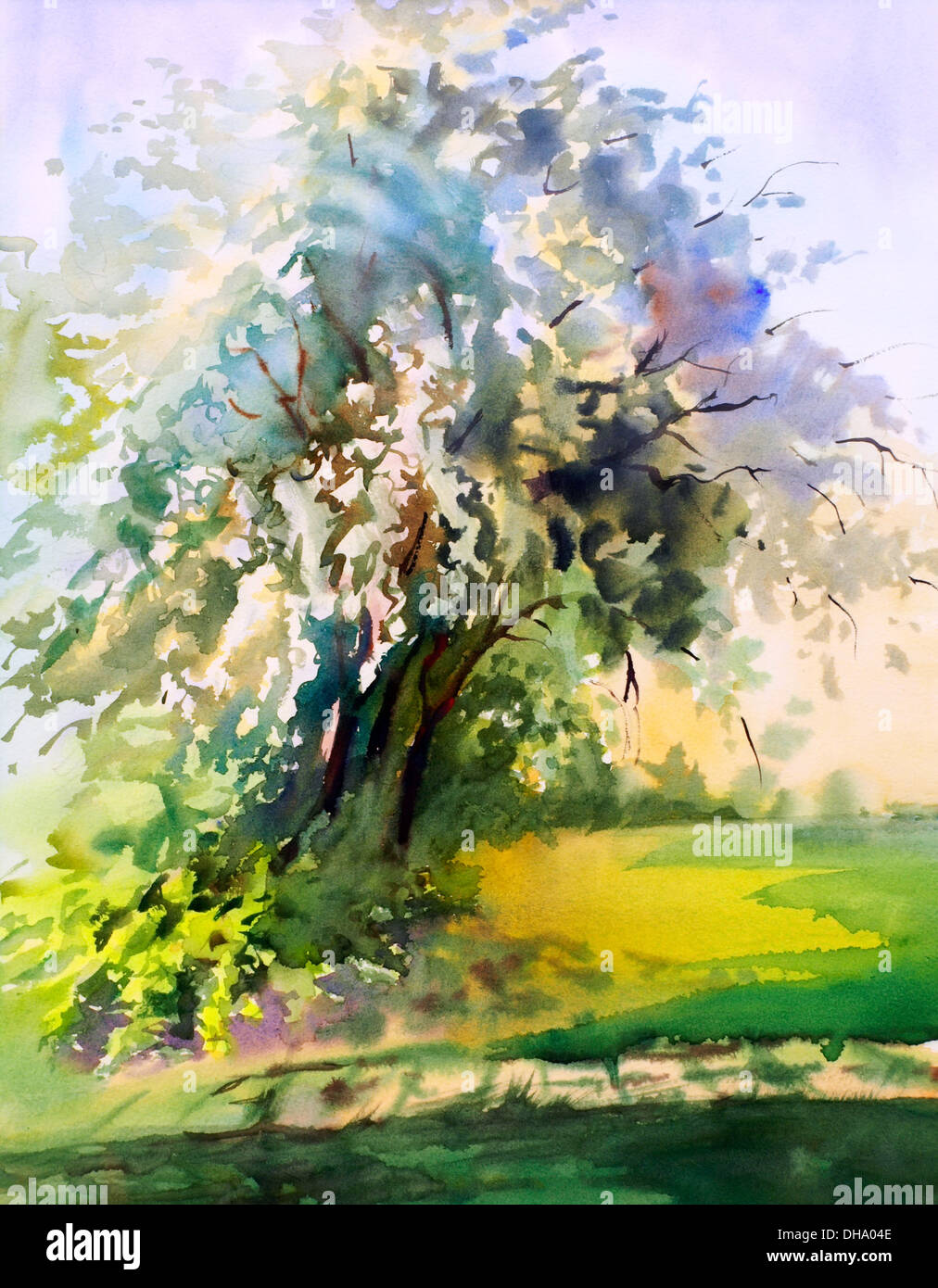 Peinture de l'arbre de printemps en fleurs Banque D'Images