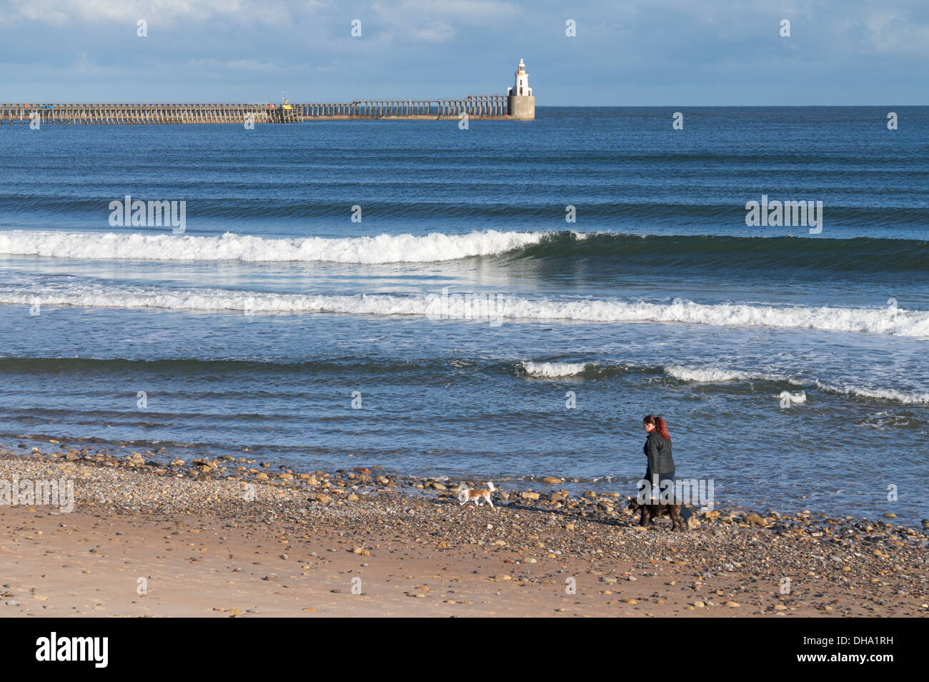 Femme marche avec les chiens de la côte de la mer du Nord Blyth, Northumberland, England, UK Banque D'Images