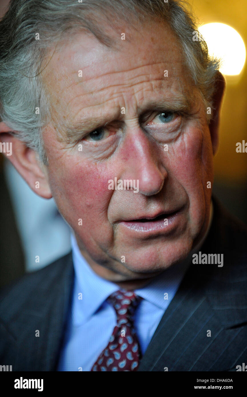 Son Altesse Royale le Prince Charles, photographiés lors d'une visite à Dumfries House, en Écosse, en octobre 2013. Banque D'Images