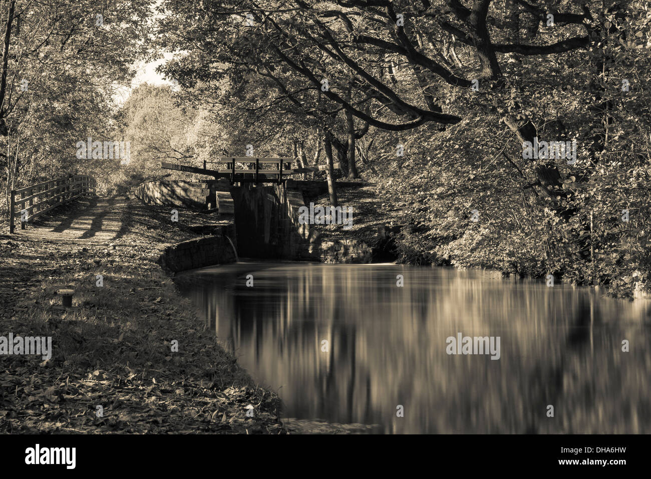 Huddersfield le canal étroit en automne. Banque D'Images