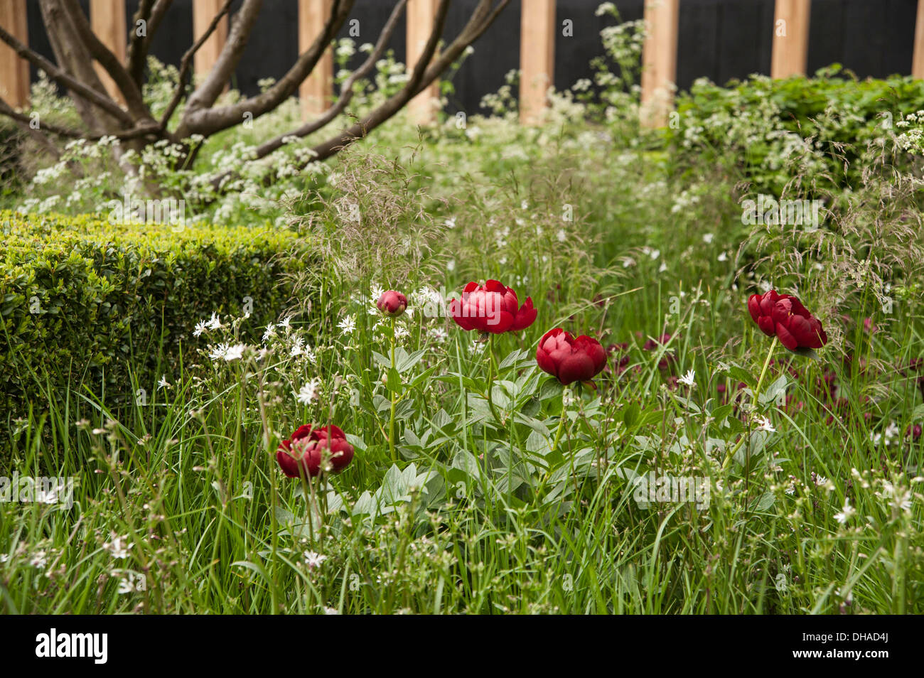 Chelsea Flower Show 2013, Daily Telegraph, jardin designer Christopher Bradley trou. Médaille d'or. Banque D'Images