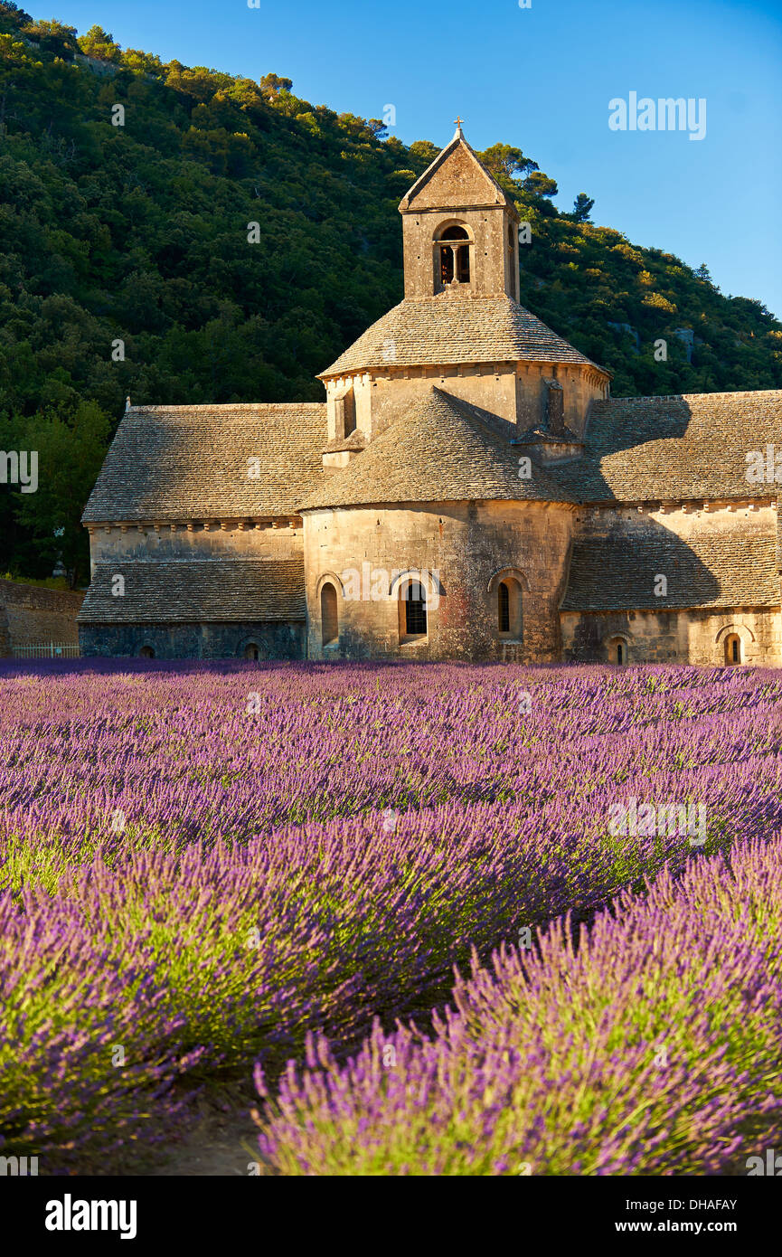L'Abbaye cistercienne romane du xiie siècle de NotreDame de Sénanque