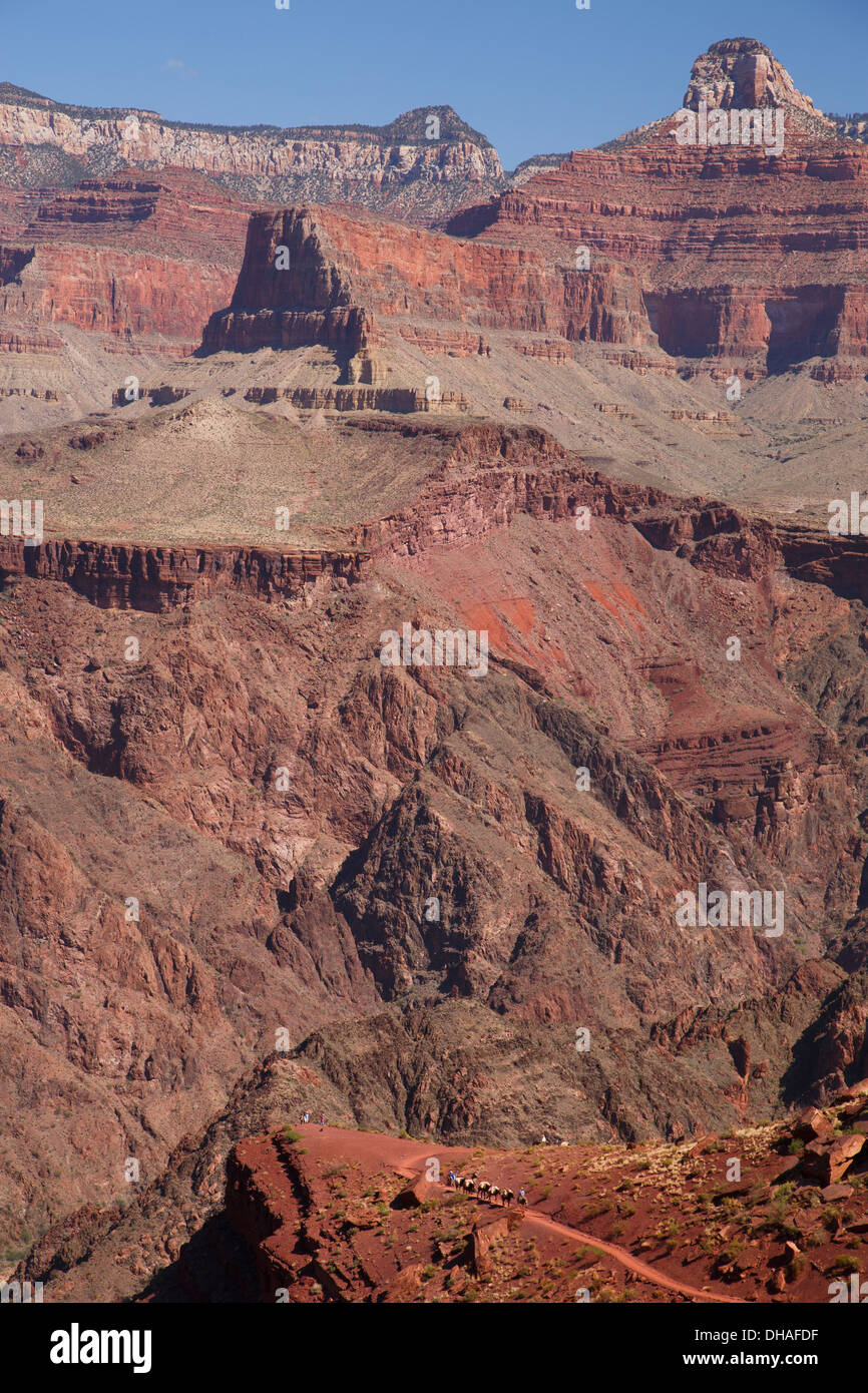 South Kaibab Trail, le Parc National du Grand Canyon, Arizona. Banque D'Images
