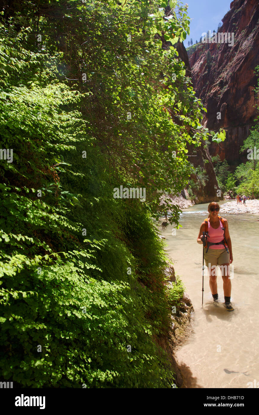 Randonneurs dans le passage sur la rivière vierge, Zion National Park, Utah. Banque D'Images