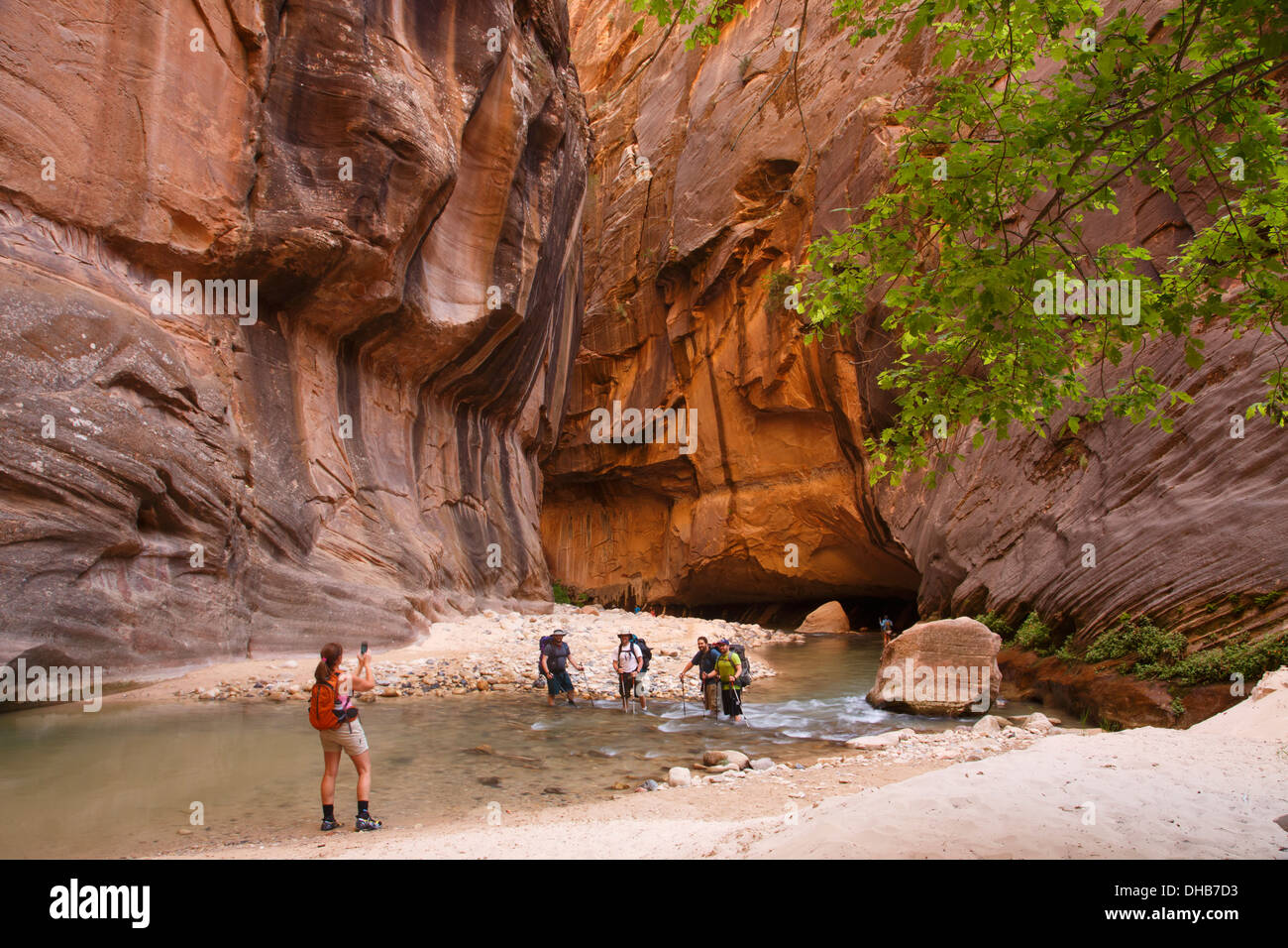 Randonneurs dans le passage sur la rivière vierge, Zion National Park, Utah. Banque D'Images