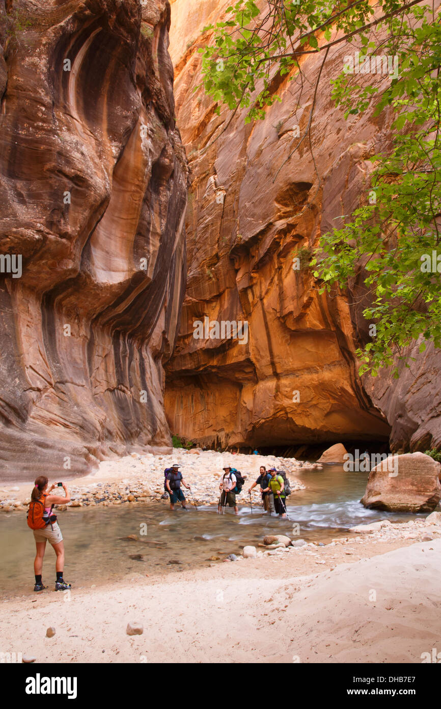 Randonneurs dans le passage sur la rivière vierge, Zion National Park, Utah. Banque D'Images