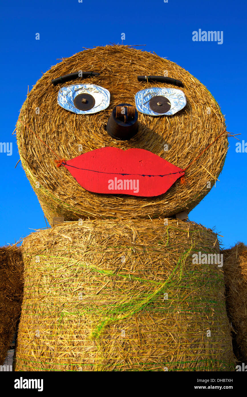 Caractère de balle de foin, île de Wight, Royaume-Uni Banque D'Images