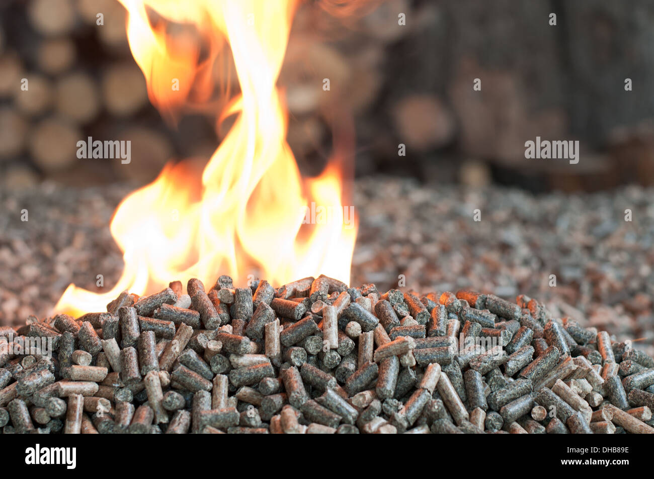 Différents types de pellets- chêne, pin,tournesol, sur un feu-selective focus sur le tas Banque D'Images