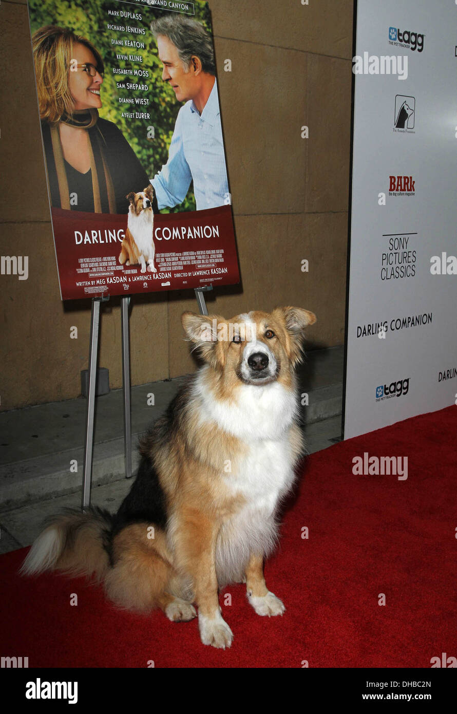 Kasey Première mondiale de Sony Pictures Classics' 'Darling Companion' à l'Egyptian Theatre Hollywood Californie - 17.04.12 Banque D'Images