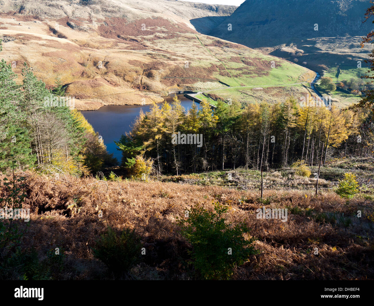 Donnant sur les forêts défrichées Yeoman Hé réservoir, Greenfield, Oldham, grand Manchester, UK. Banque D'Images