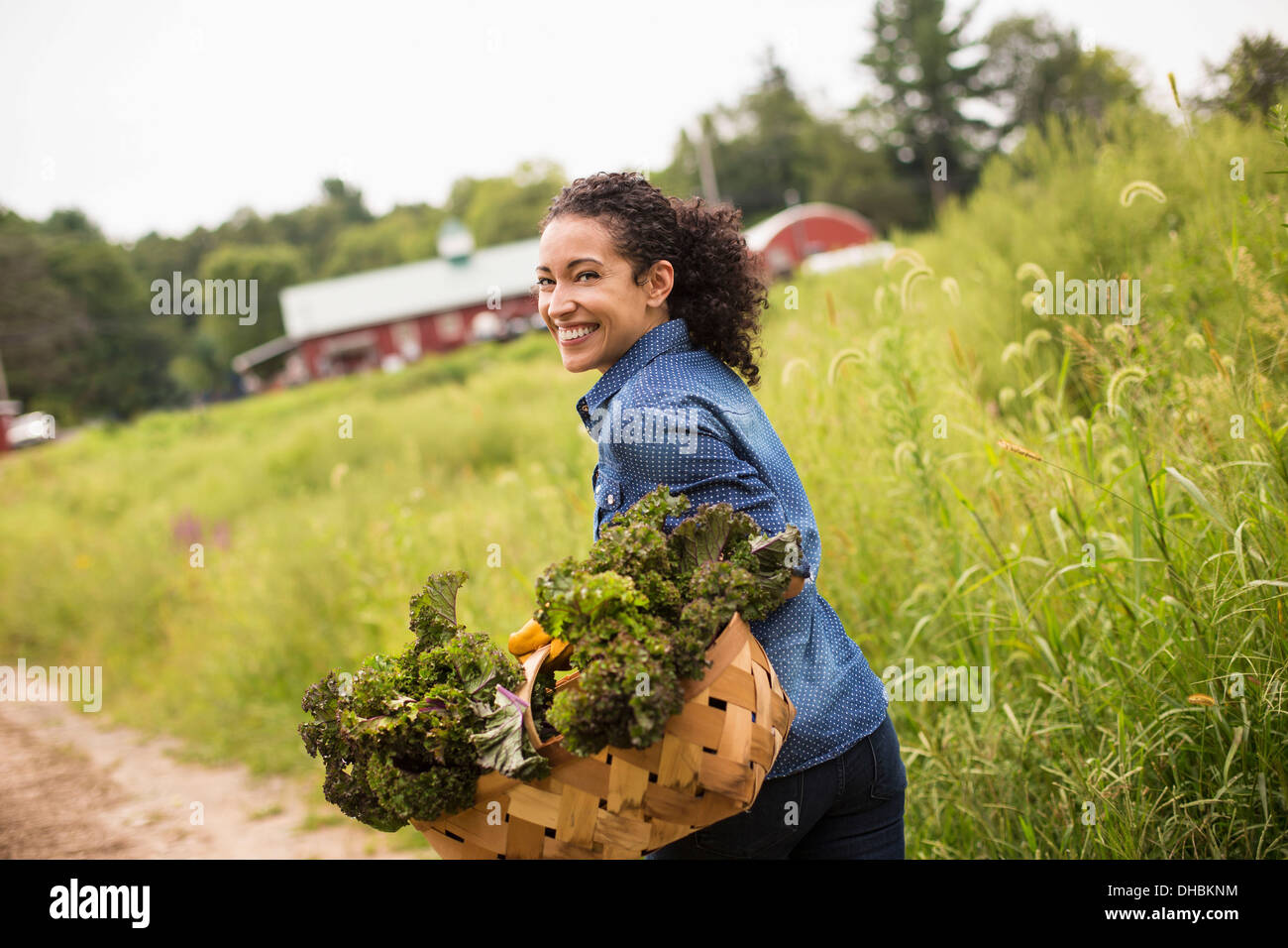 Travailler sur une ferme biologique. Une femme portant un panier débordant de légumes verts frais, produire fraîchement cueilli. Banque D'Images