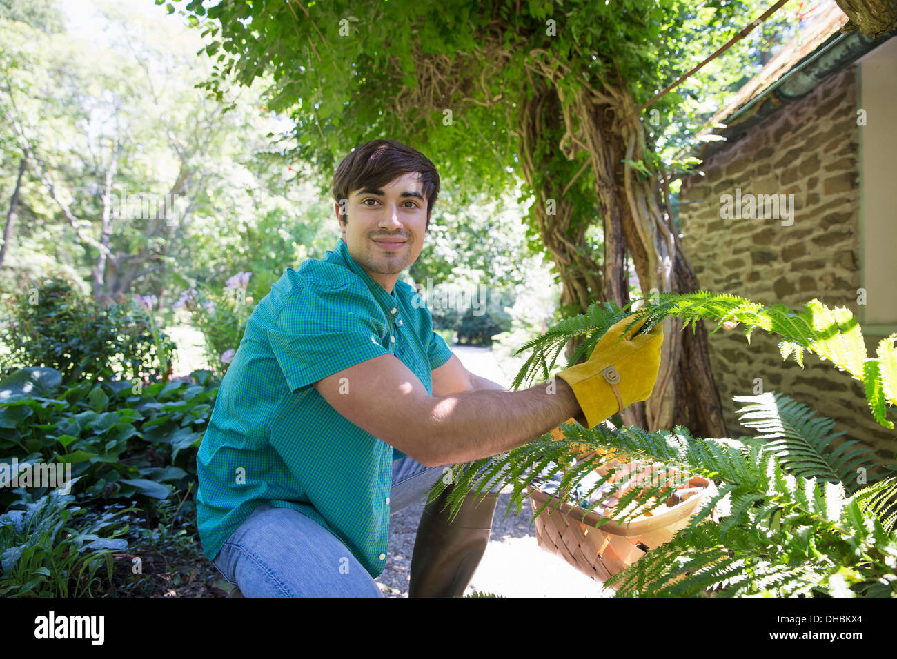 Une ferme la culture et la vente de légumes et fruits biologiques. Un jeune homme qui travaille. Banque D'Images