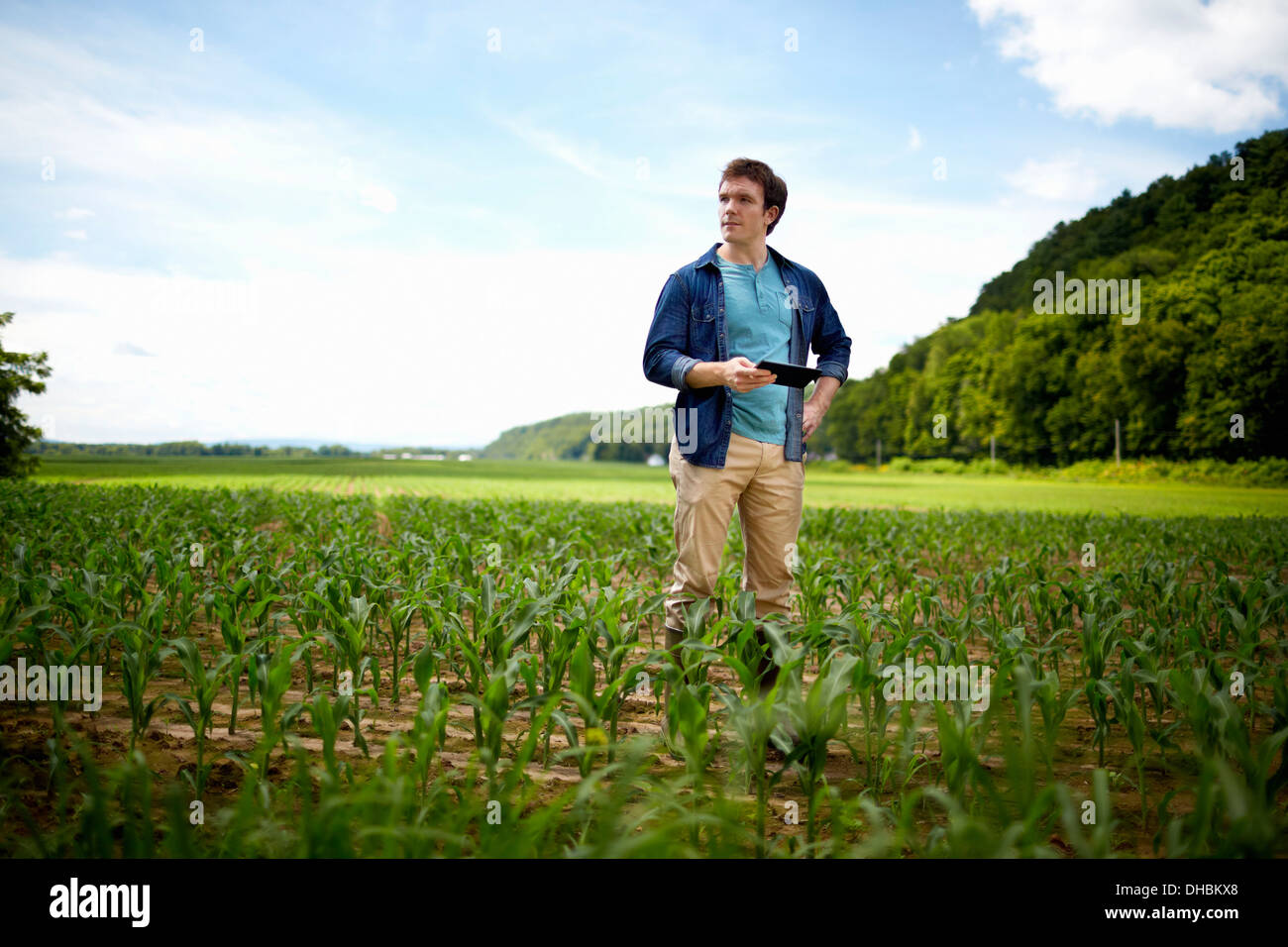 Un agriculteur travaillant dans ses champs, dans l'État de New York, USA. Banque D'Images