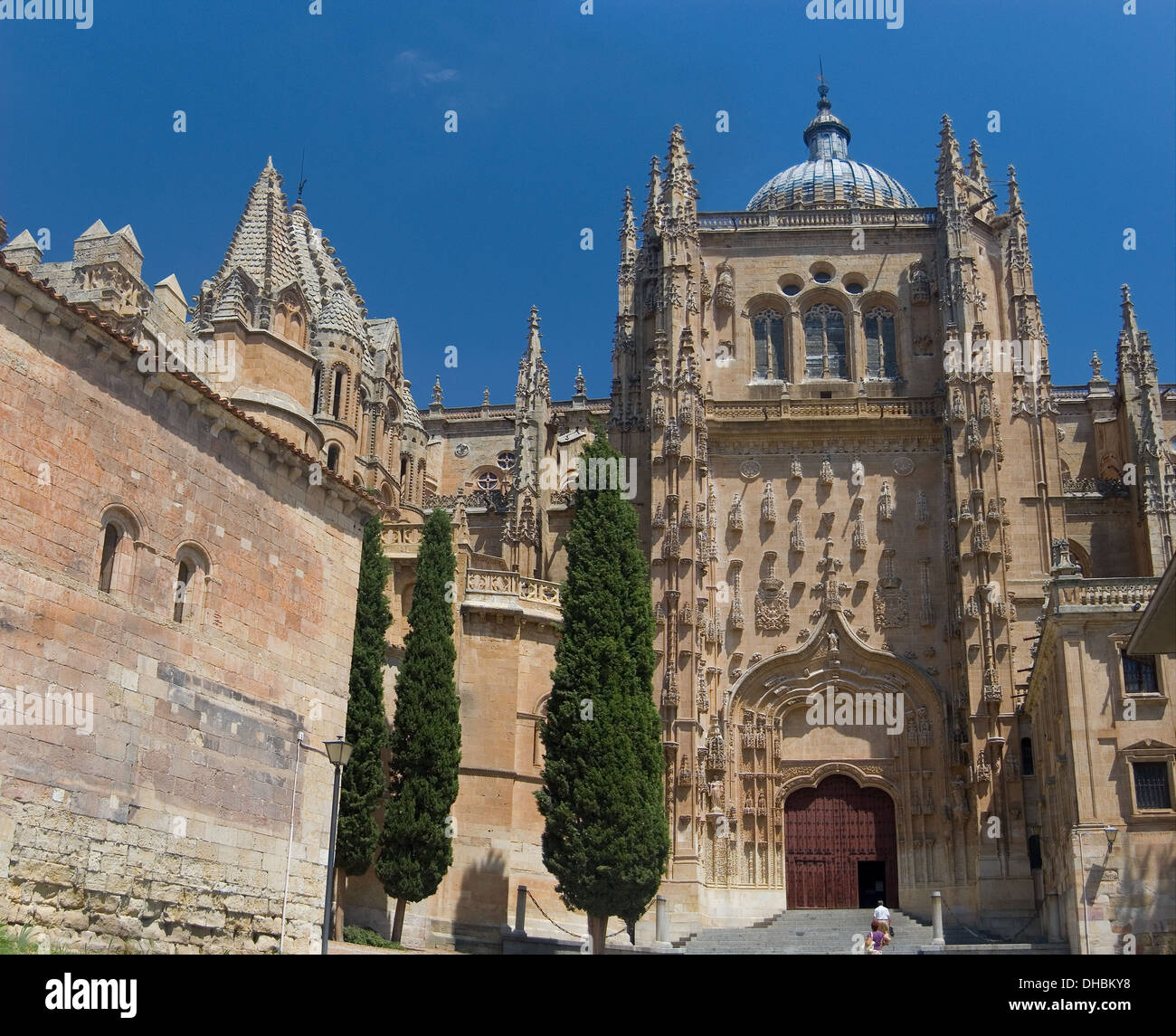 Façade plateresque de l'arrière de la nouvelle cathédrale de Salamanque. Espagne Banque D'Images