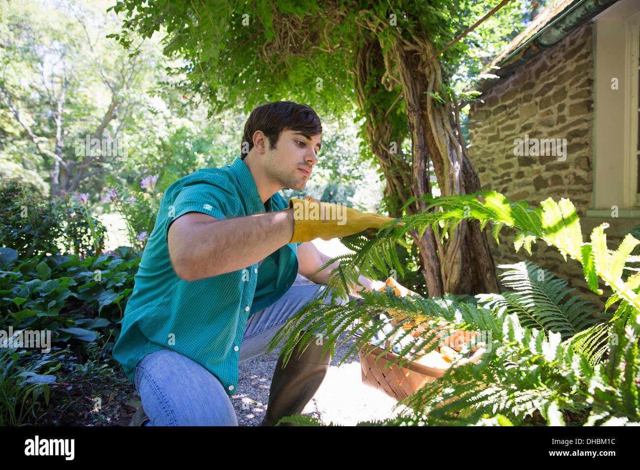 Une ferme la culture et la vente de légumes et fruits biologiques. Un