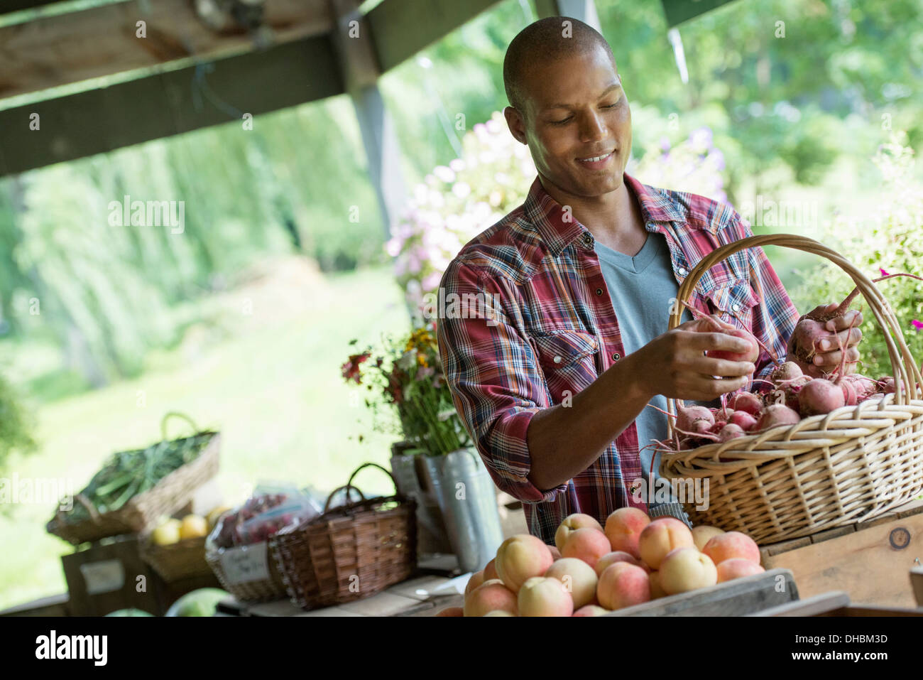 Une ferme stand avec des légumes et fruits biologiques. Un homme de betterave de tri dans un panier. Banque D'Images