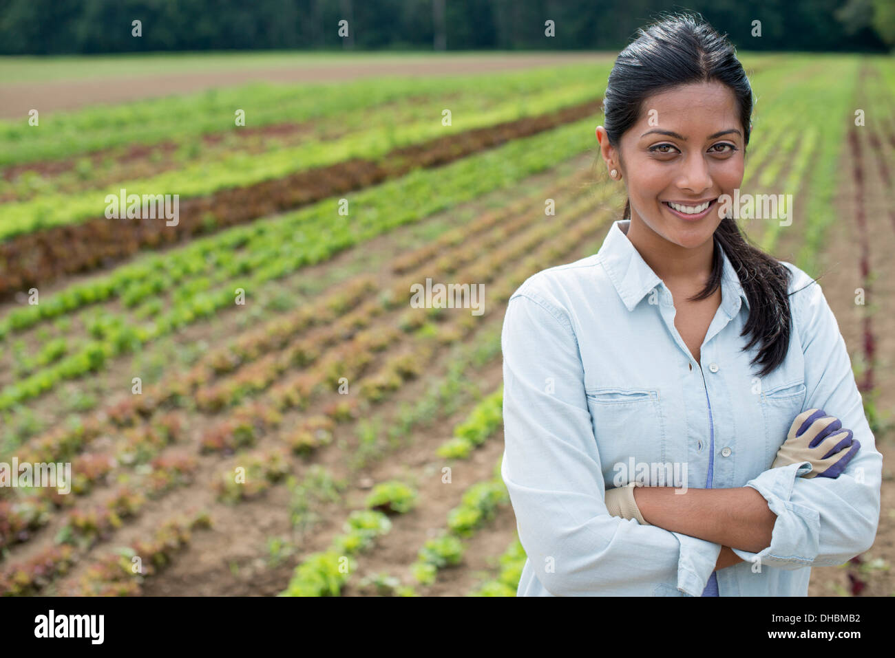 Une femme debout dans un champ agricole, avec une petite salade de plantes poussant dans les lignes. Banque D'Images
