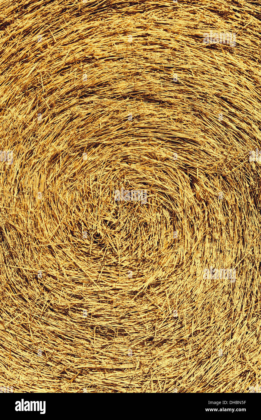 Le centre d'une botte de paille, tassement. Banque D'Images
