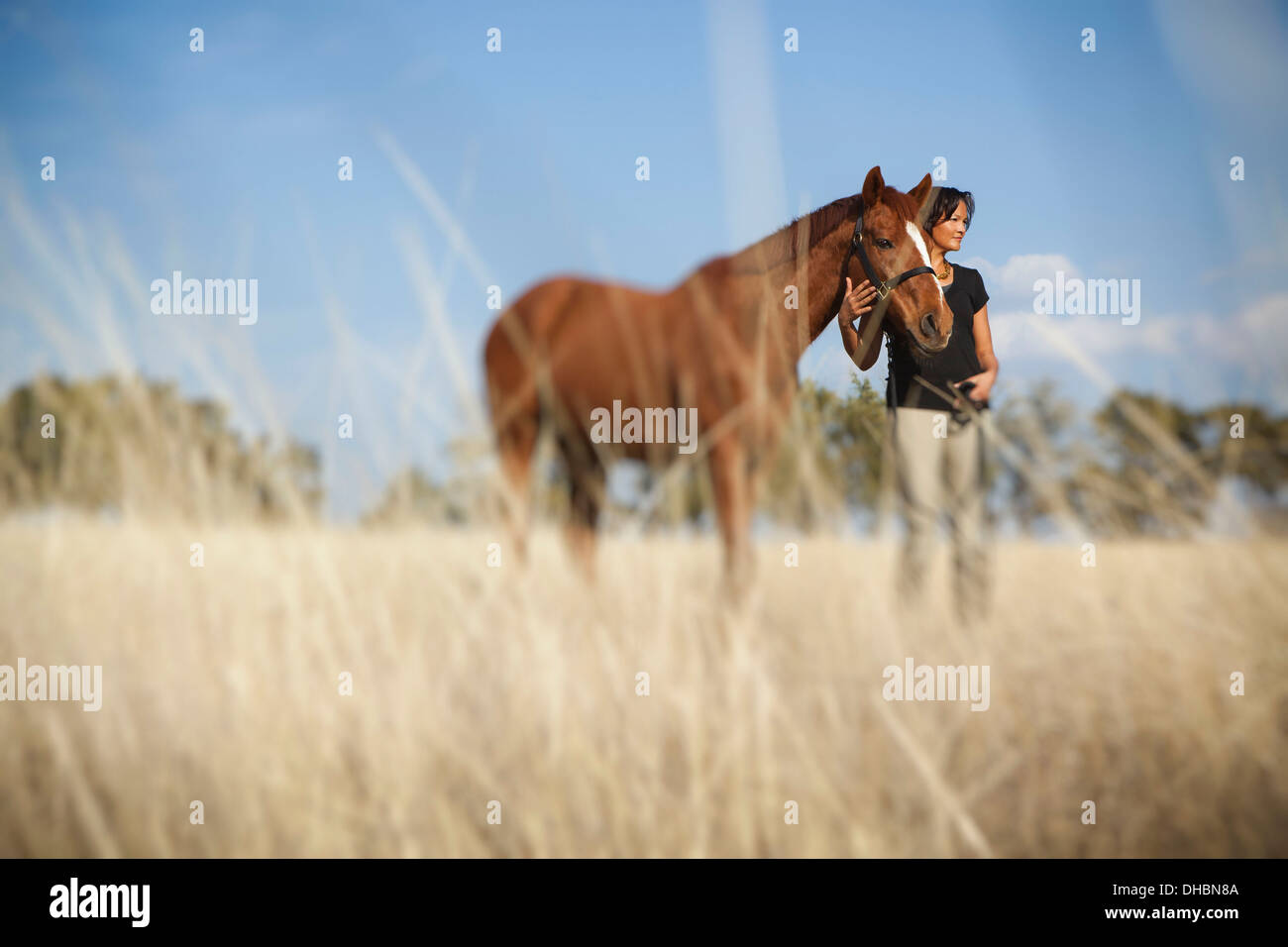 Une femme à la tête d'un cheval sur le dos à travers les hautes herbes dans un champ. Banque D'Images
