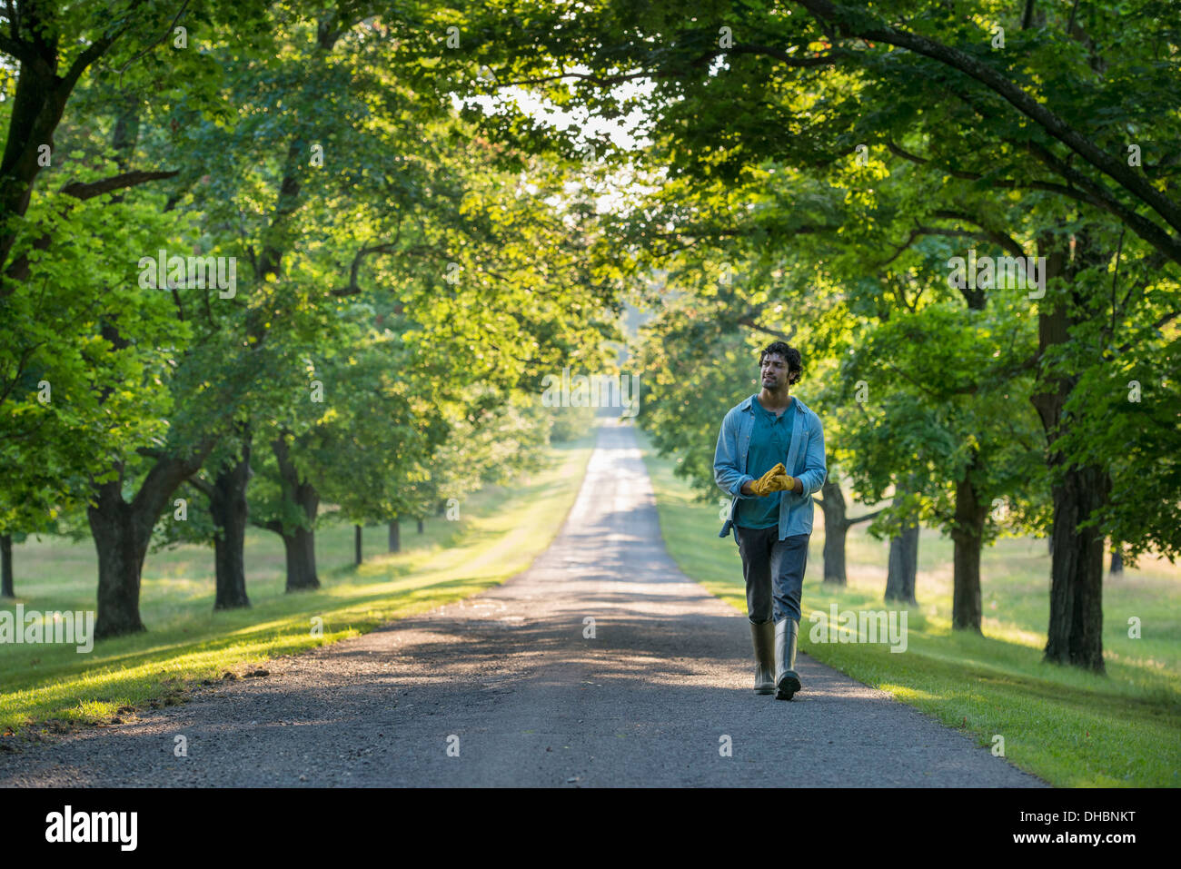 Un homme marchant sur un chemin bordé d'arbres. Banque D'Images