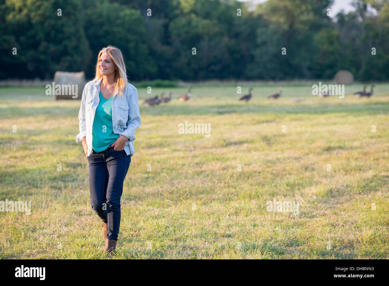 Une femme marchant sur un terrain, à l'écart d'un troupeau d'oies à l'extérieur l'air frais. Banque D'Images