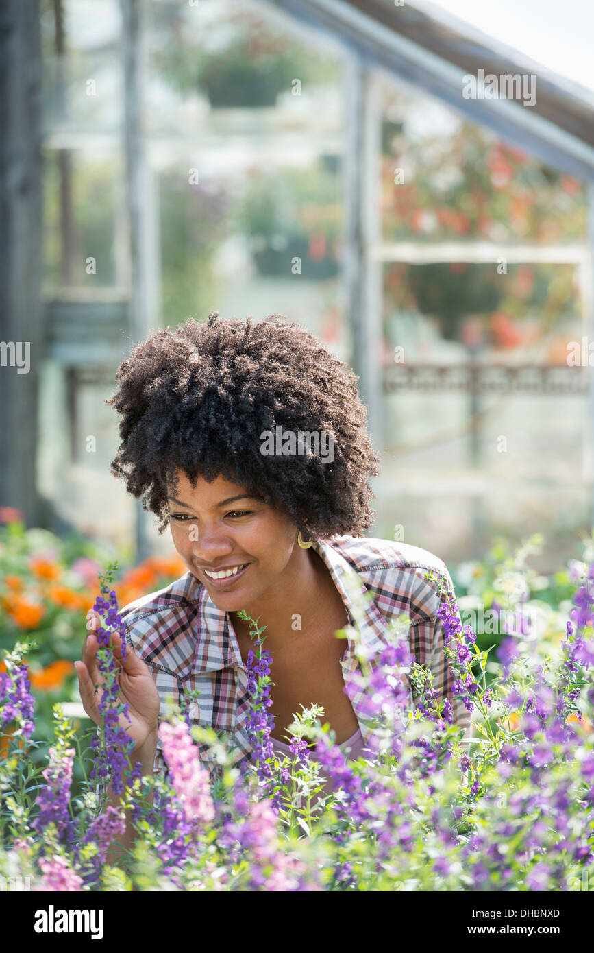 Une femme dans une pépinière entourée de plantes à fleurs et feuillage vert. Banque D'Images