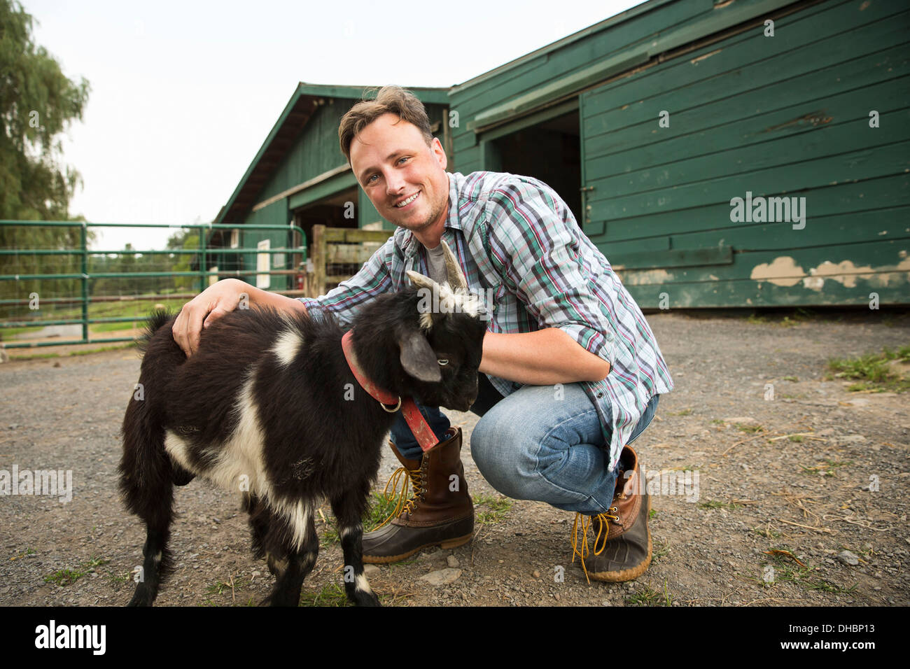 Une ferme biologique dans les Catskills. Un homme avec un petit chèvre sur un dos-nu. Banque D'Images