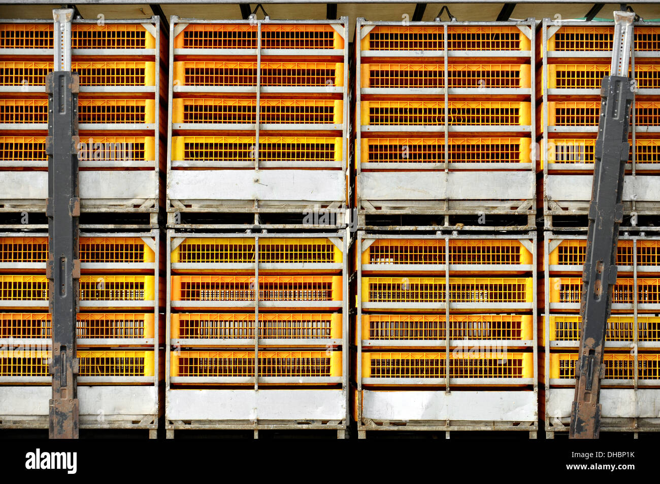 Des cages vides pour le transport des volailles à l'abattoir Banque D'Images