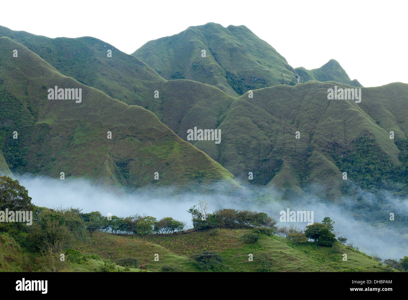 Paysages brumeux au Cerros los Picachos de Llo montagnes, Cordillère centrale, province de Cocle, République du Panama. Banque D'Images