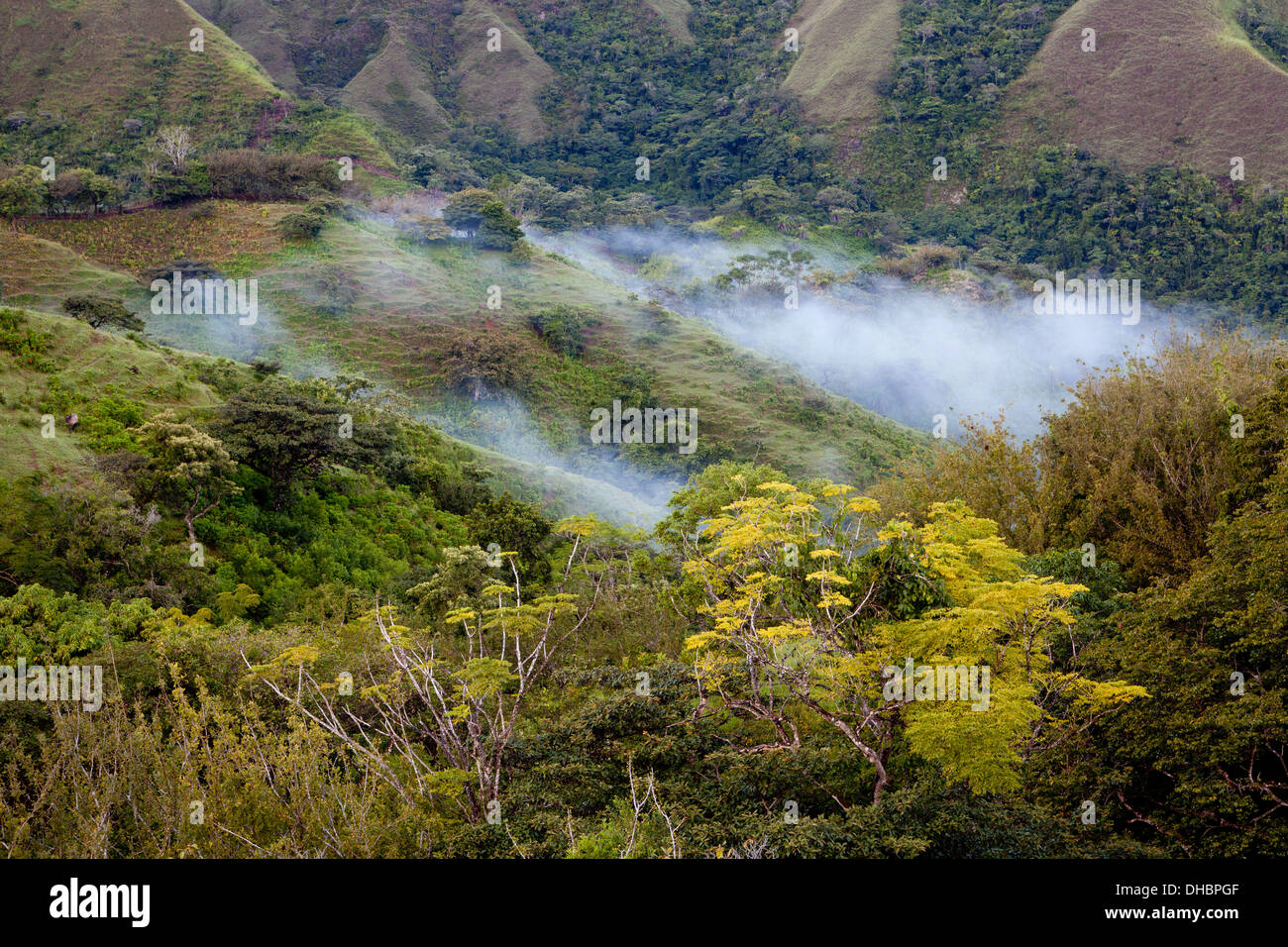 Paysages brumeux à Cerros los Picachos de Llo, Cordillère centrale, province de Cocle, République du Panama. Banque D'Images
