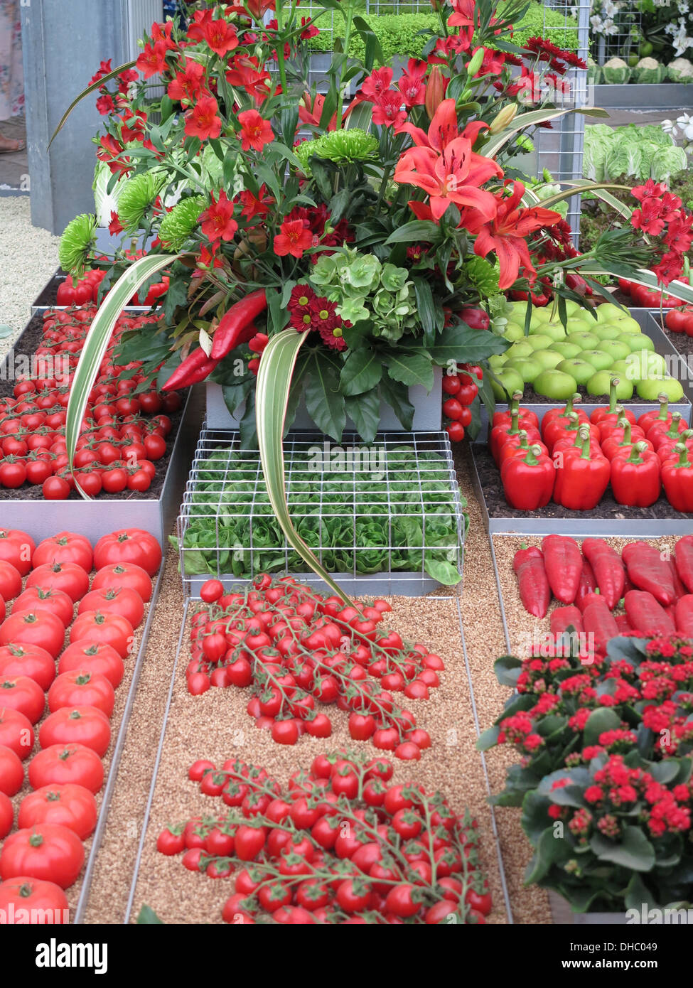 tomates Banque D'Images