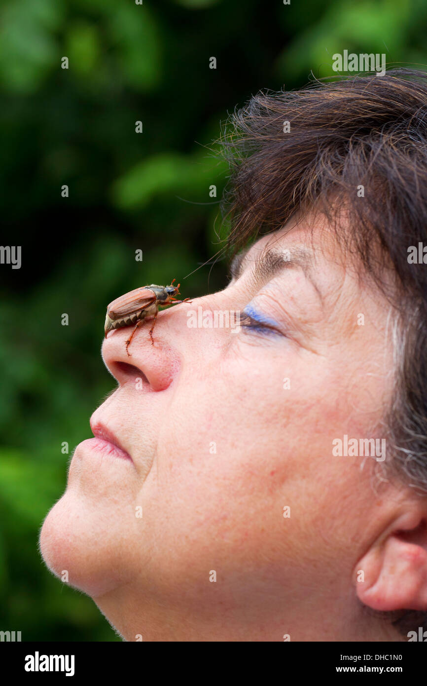Catégorie : commune / Mai bug (Melolontha melolontha) sur le nez de la femme Banque D'Images