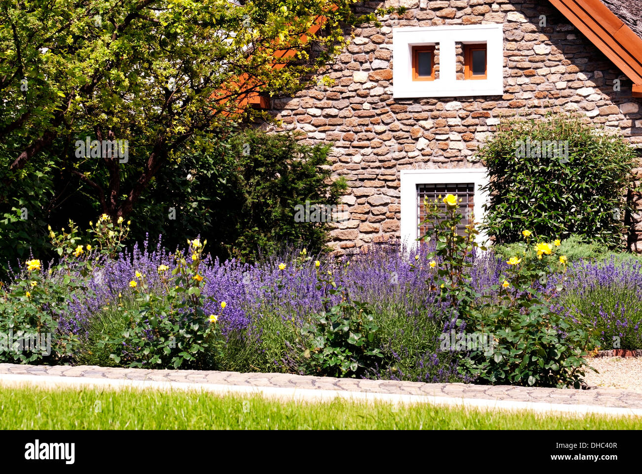 Maison traditionnelle et le jardin de lavande à Tihany en Hongrie Banque D'Images