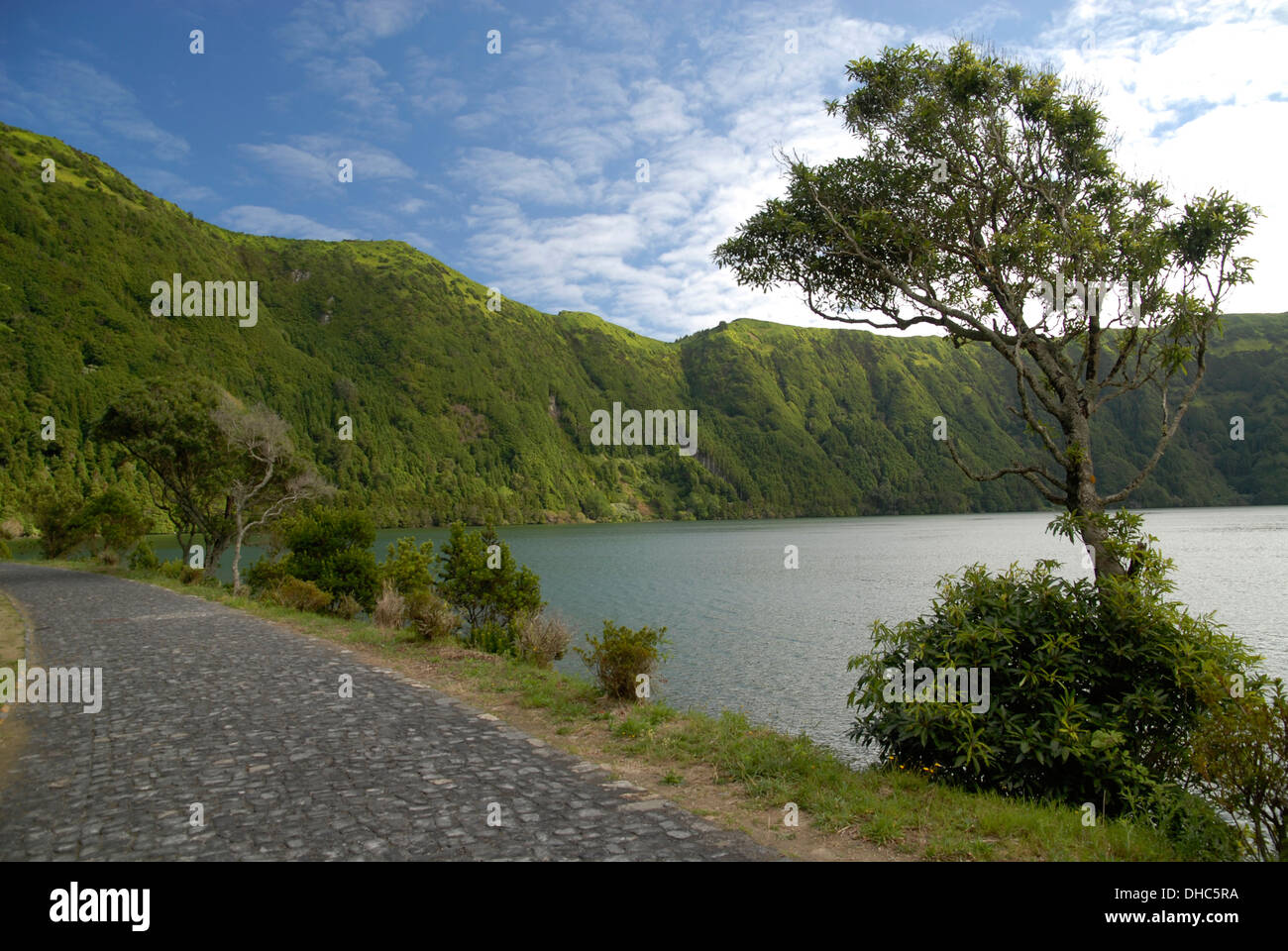 Petite route au nord de Lagoa Azul, l'île de São Miguel, Açores, Portugal Banque D'Images