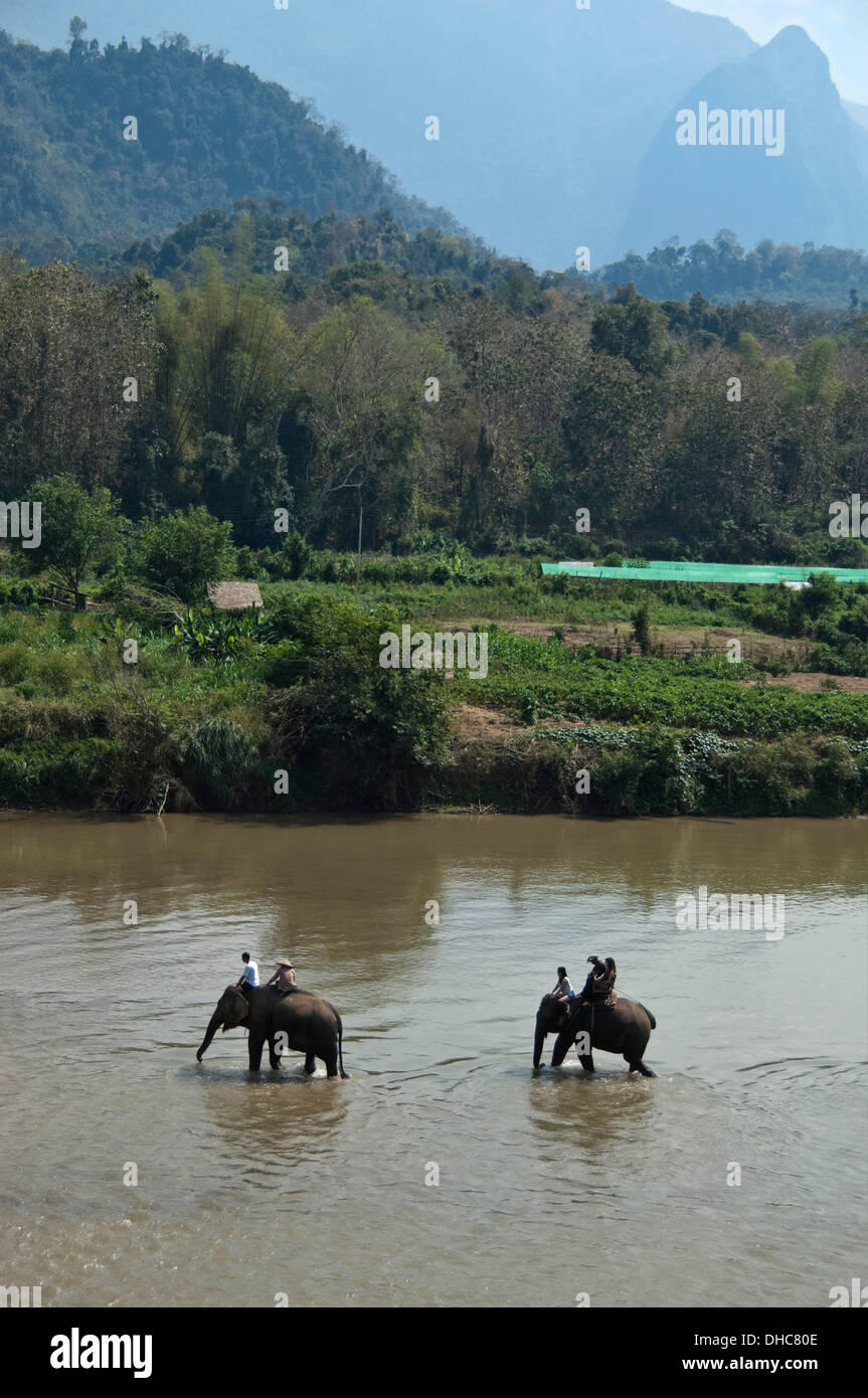 Vue verticale de touristes sur les éléphants marchant le long d'une rivière dans la campagne du Laos. Banque D'Images