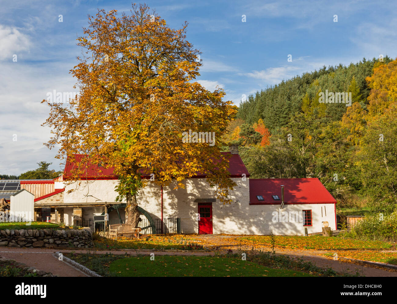 Ancien moulin à LAINE RÉNOVÉ SPEYSIDE KNOCKANDO AVEC ROUE À EAU ET ARBRES EN AUTOMNE Banque D'Images