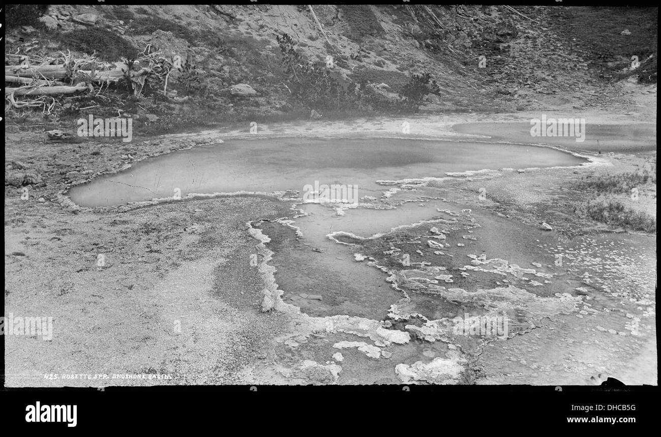 Rosette Spring est situé dans le bassin Shoshone du parc national de Yellowstone. Connue pour son activité géothermique, elle contribue aux caractéristiques thermiques et à l'écosystème uniques du parc. Banque D'Images