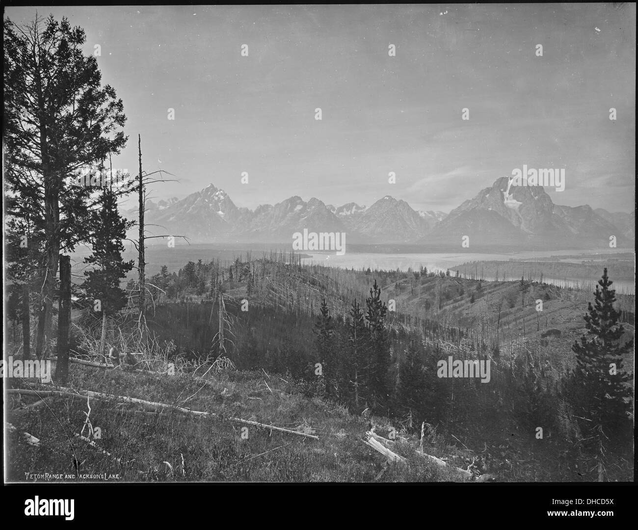 Chaîne Teton et le lac Jackson, Wyoming 517661 Banque D'Images