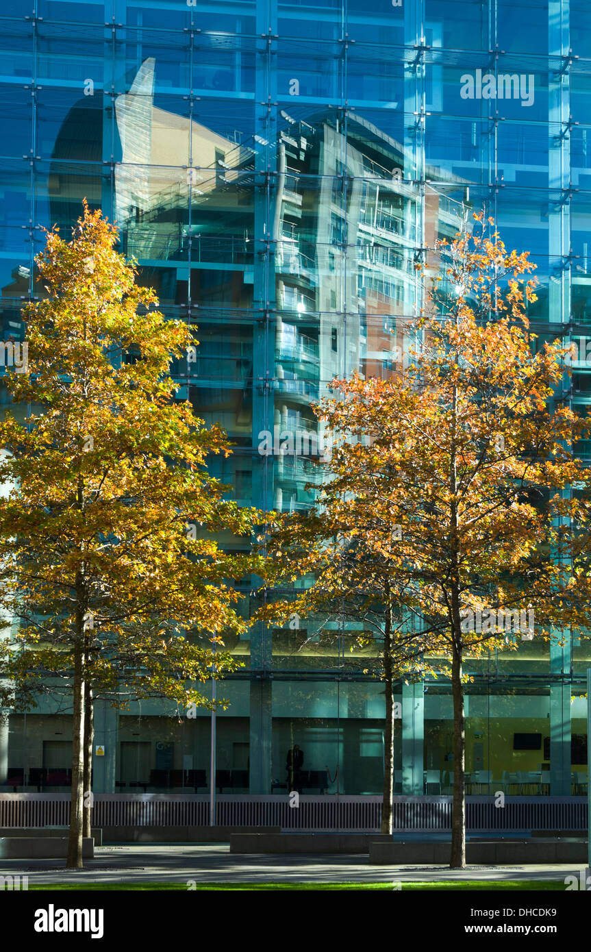 Arbres en automne couleurs et reflets dans la fenêtre en verre. La justice civile Centre building, Spinningfields, Manchester, Angleterre, Royaume-Uni. Banque D'Images